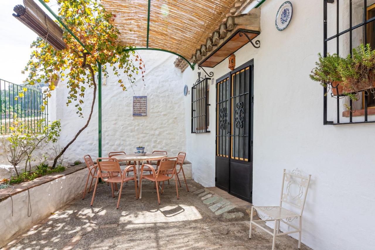Cuevas El Abanico - Vtar Vivienda Turistica De Alojamiento Rural Granada Eksteriør billede